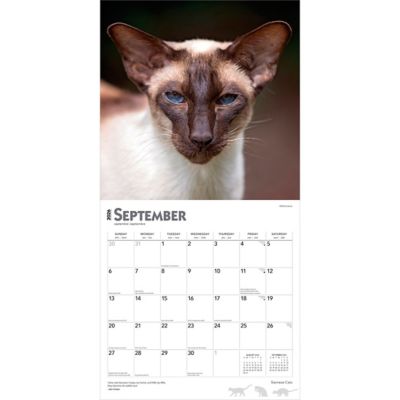 Image showing  Siamese Cats 2026 Square Flap