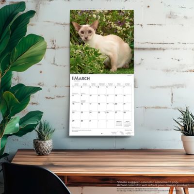 Image showing  Siamese Cats 2026 Square Flap