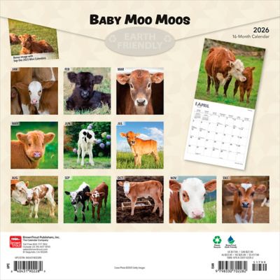 Image showing  Baby Moo Moos 2026 Square Flap