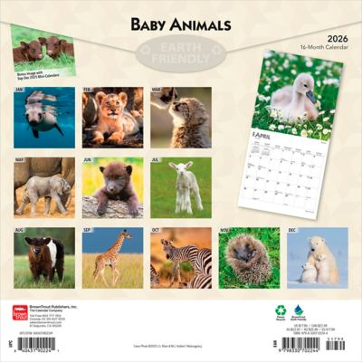 Image showing  Baby Animals 2026 Square Flap