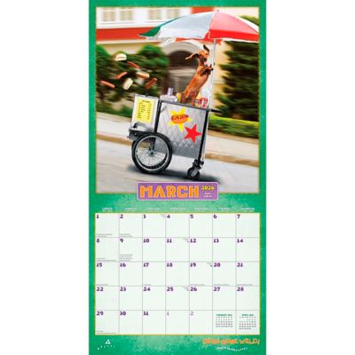 Image showing  Avanti Dogs Gone Wild 2026 Square Flap