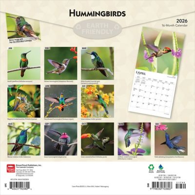 Image showing  Hummingbirds 2026 Square Flap FOIL