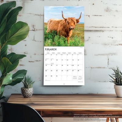 Image showing  Highland Cows 2026 Square Flap