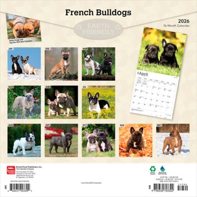 Image showing  French Bulldogs 2026 Square Flap