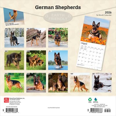 Image showing  German Shepherds 2026 Square Flap