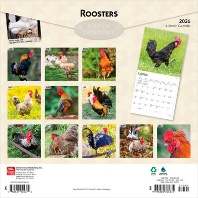 Image showing  Roosters 2026 Square Flap