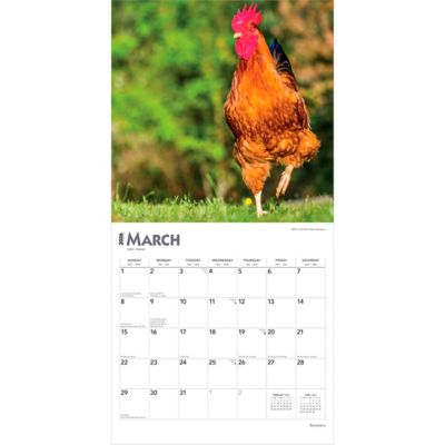 Image showing  Roosters 2026 Square Flap