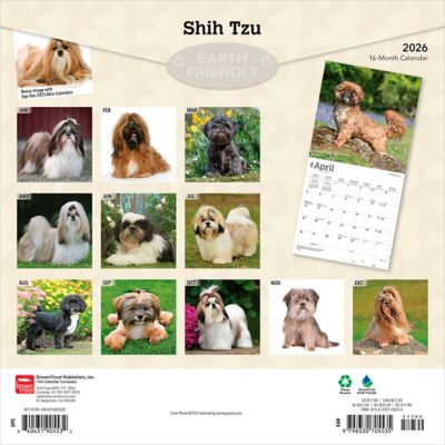 Image showing  Shih Tzu 2026 Square Flap