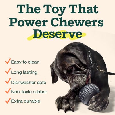 Image showing  Pupsicle Power Chewer Black Large