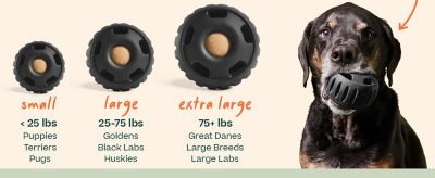 Image showing  Pupsicle Power Chewer Black Large