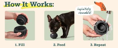 Image showing  Pupsicle Power Chewer Black Large