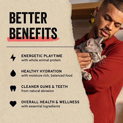 Image showing  Freeze-Dried Minnows Cat Treats