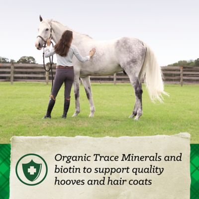 Image showing  Fiber Plus Horse Feed, 50 lb.