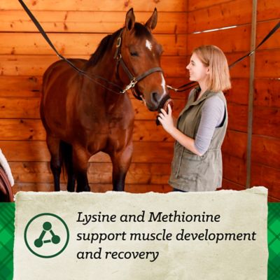 Image showing  Fiber Plus Horse Feed, 50 lb.