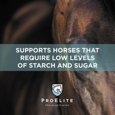 Image showing 6 th ProElite Starch Wise Horse Feed, 50 lb.