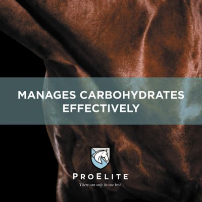 Image showing 7 th ProElite Starch Wise Horse Feed, 50 lb.