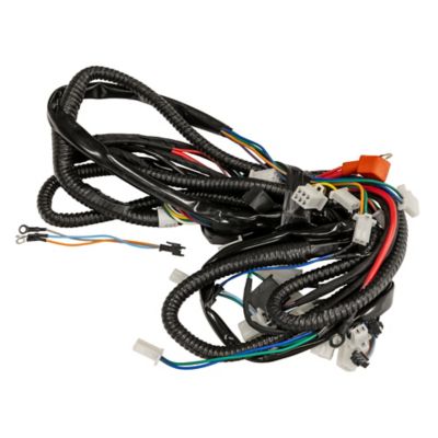 Image showing  Mini 125 Main Wiring Harness 2024 Models