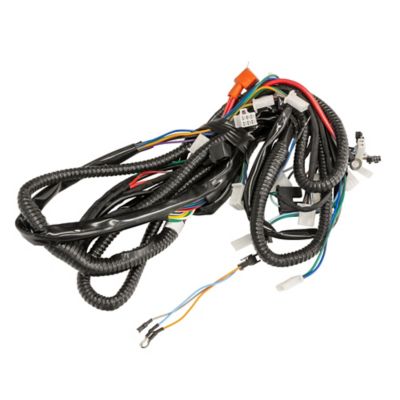 Image showing  Mini 125 Main Wiring Harness 2024 Models