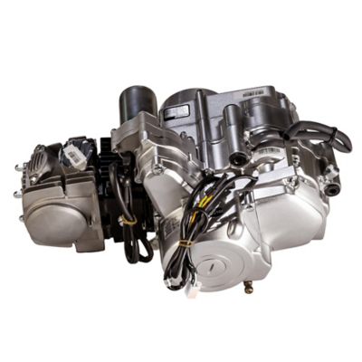 Image showing  Mini 125 3 Speed 125 CC Engine 2023 models