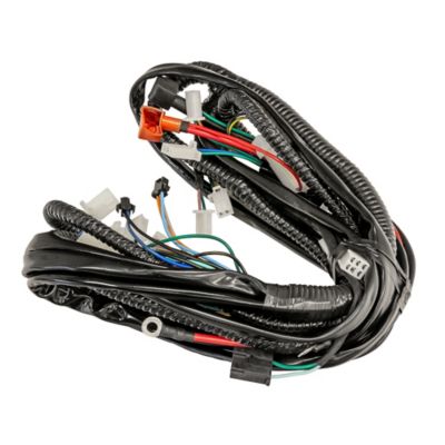 Image showing  Mini 125 Main Wiring Harness 2023 Models
