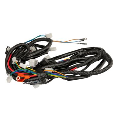 Image showing  Mini 125 Main Wiring Harness 2023 Models
