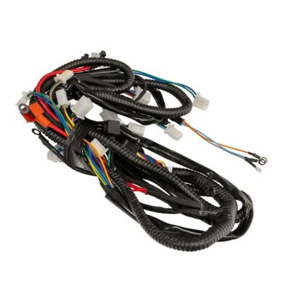 Image showing  Mini 125 Main Wiring Harness 2023 Models