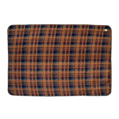 Image showing  Vintage Blanket