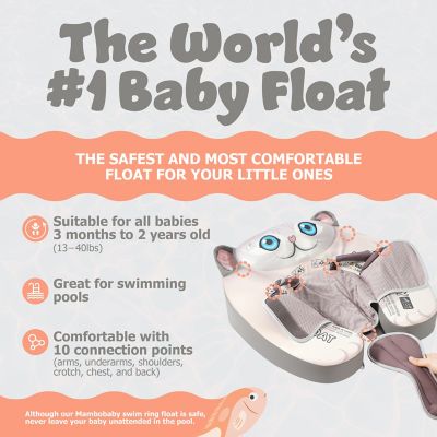 Image showing  Air-Free Float with Canopy - Cat - Gray