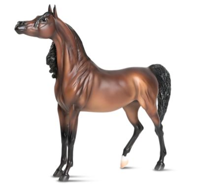 Image showing  Rd Marciea Bay