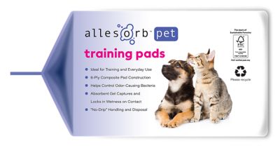 Image showing  Standard Pet Training Pads, 22x22, 100 ct.