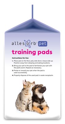 Image showing  Standard Pet Training Pads, 22x22, 100 ct.