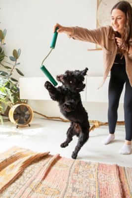 Image showing  Nomchucks