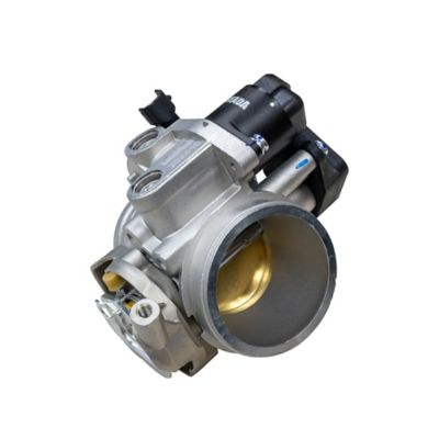 Image showing  MSA 550 Throttle Body