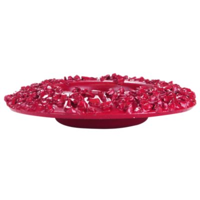 Image showing  Red Coarse Grit Power Rasp Disc
