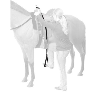 Image showing  Nylon Mounting Aid