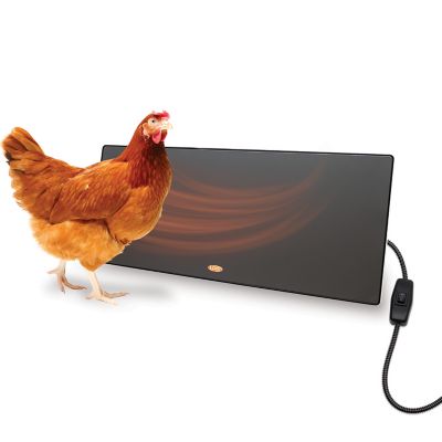 image of a Coop Heaters