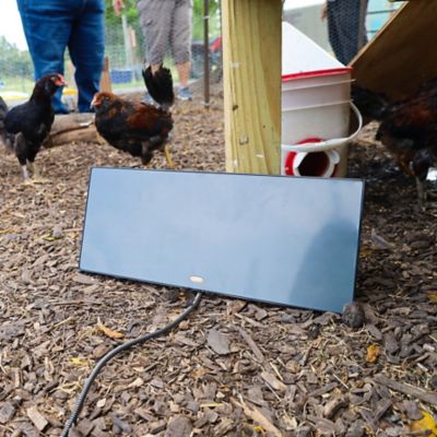 Image showing  Chicken Coop Heating Panel Safer Than Lamps 150 W