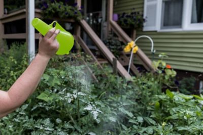 Image showing  Powder, Sulphur, Lime Hand Duster, Green