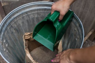 Image showing  Chicken Feed Scoop, Green, 2.5L