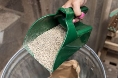 Image showing  Chicken Feed Scoop, Green, 2.5L