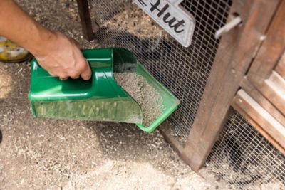 Image showing  Chicken Feed Scoop, Green, 2.5L