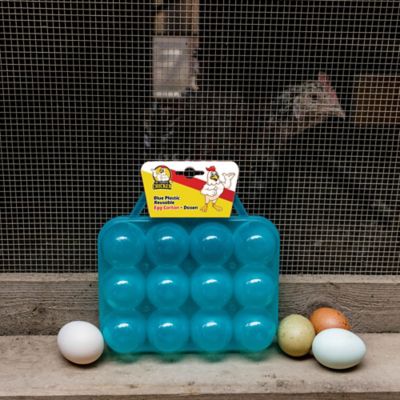 Image showing 6 th My Favorite Chicken Blue Plastic Reusable Dozen Egg Carton with Handle