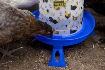 Image showing  Chicken Drinker with Legs & Floral Design, 5L/1.32gal