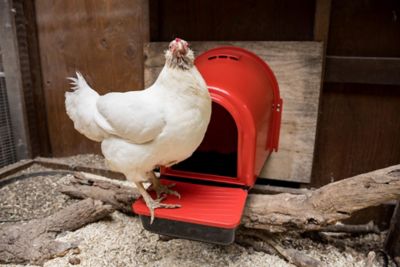 Image showing  Rollout Wall-Mounted Nest Box, Red