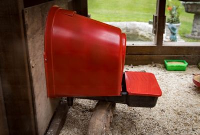Image showing 6 th My Favorite Chicken Rollout Wall-Mounted Nest Box, Red