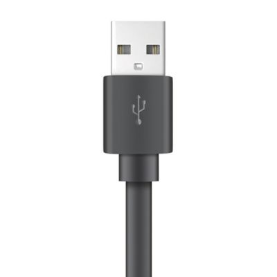Image showing  Charge and Sync USB to Lightning Flat Cable, 4 ft. (Black)