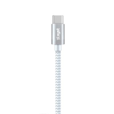 Image showing  Charge and Sync USB to USB-C Braided Cable, 10 ft. (White)
