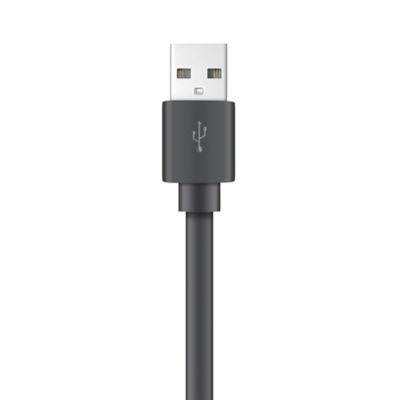 Image showing  Charge and Sync USB to USB-C Flat Cable, 4 ft. (Black)