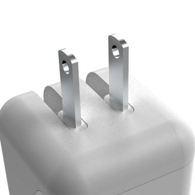 Image showing  2.4-Amp Dual USB Wall Charger With 4-ft. Apple Lightning Cable