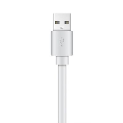 Image showing  Charge and Sync USB to USB-C Flat Cable, 4 ft. (White)